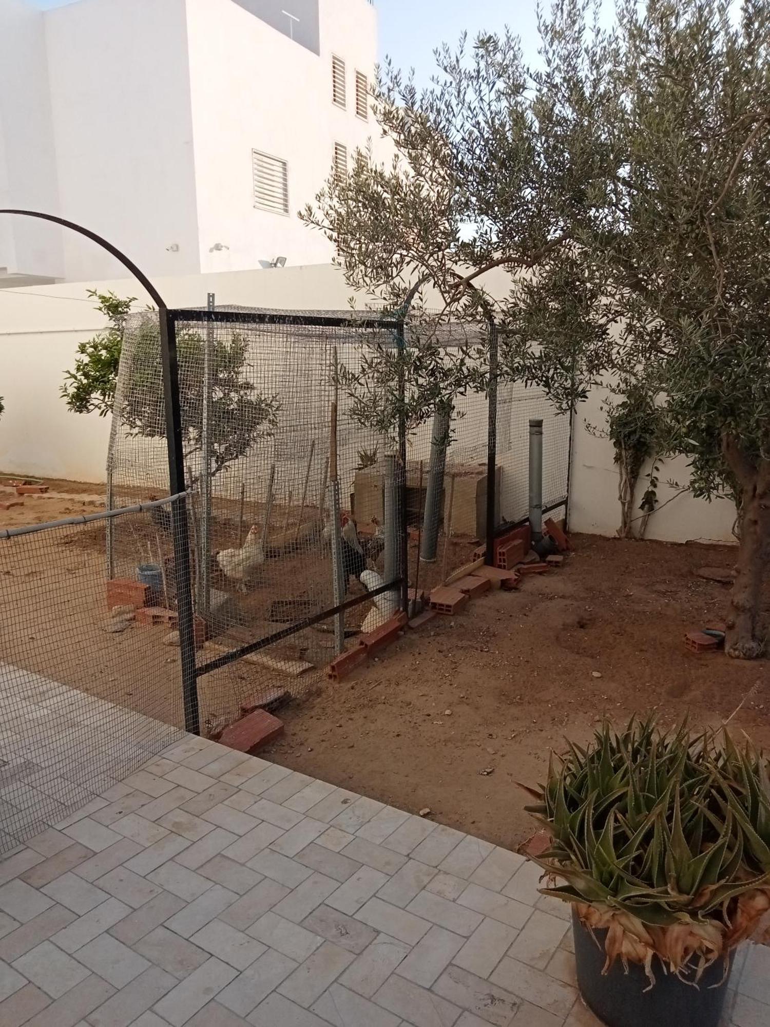Chez Mme Jaouida Bed & Breakfast Kairouan Exterior photo